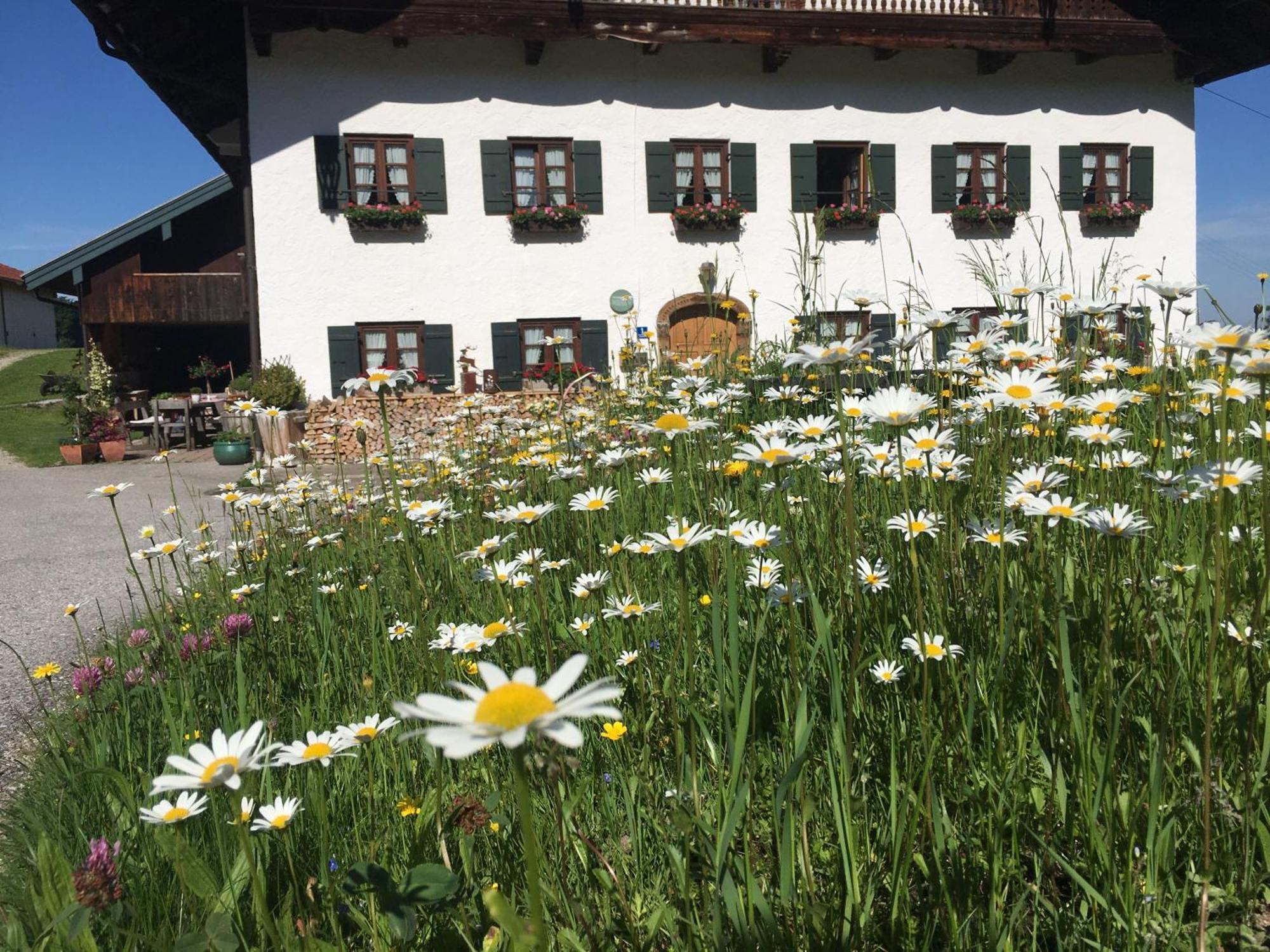 Stadlerhof Фрасдорф Екстериор снимка
